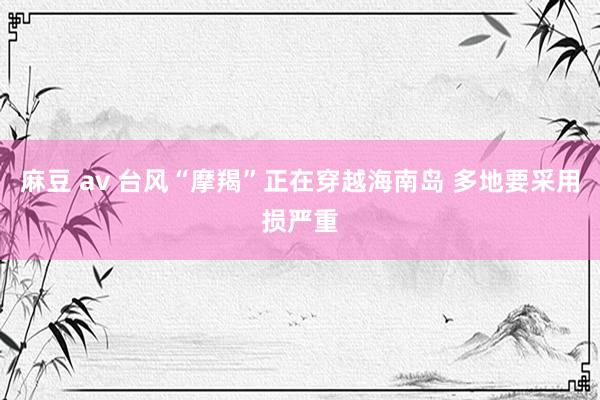 麻豆 av 台风“摩羯”正在穿越海南岛 多地要采用损严重
