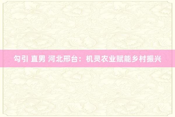 勾引 直男 河北邢台：机灵农业赋能乡村振兴