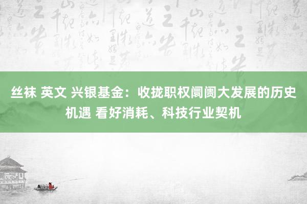 丝袜 英文 兴银基金：收拢职权阛阓大发展的历史机遇 看好消耗、科技行业契机