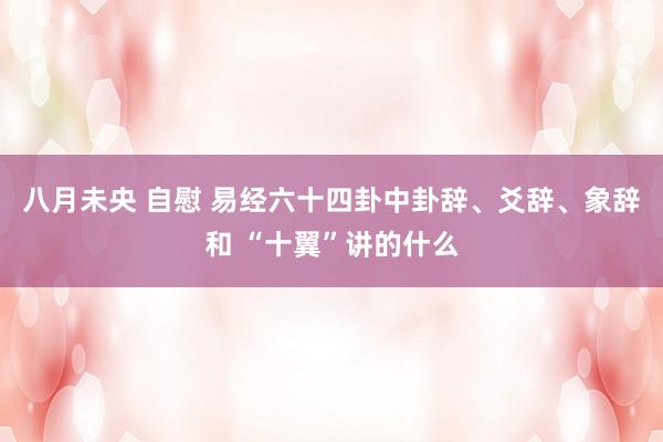 八月未央 自慰 易经六十四卦中卦辞、爻辞、象辞和 “十翼”讲的什么