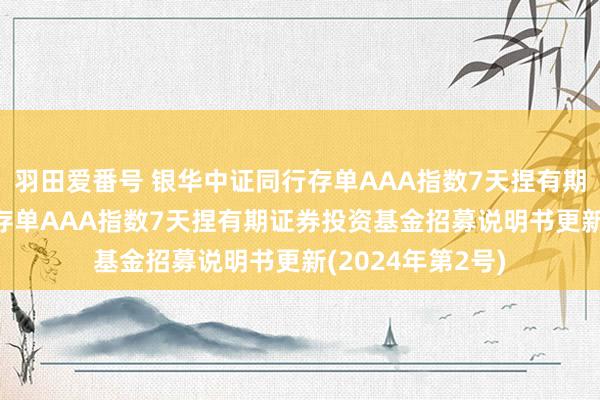 羽田爱番号 银华中证同行存单AAA指数7天捏有期: 银华中证同行存单AAA指数7天捏有期证券投资基金招募说明书更新(2024年第2号)