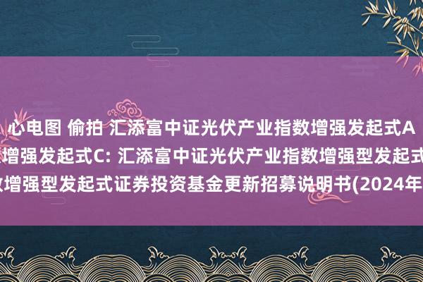 心电图 偷拍 汇添富中证光伏产业指数增强发起式A,汇添富中证光伏产业指数增强发起式C: 汇添富中证光伏产业指数增强型发起式证券投资基金更新招募说明书(2024年10月18日更新)