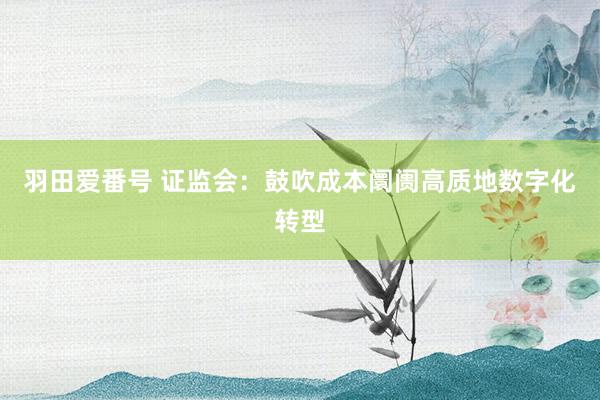 羽田爱番号 证监会：鼓吹成本阛阓高质地数字化转型