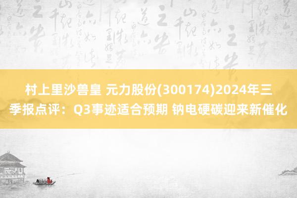 村上里沙兽皇 元力股份(300174)2024年三季报点评：Q3事迹适合预期 钠电硬碳迎来新催化