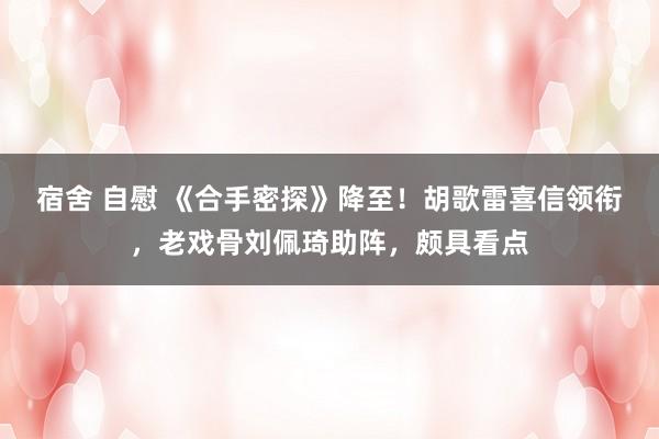 宿舍 自慰 《合手密探》降至！胡歌雷喜信领衔，老戏骨刘佩琦助阵，颇具看点