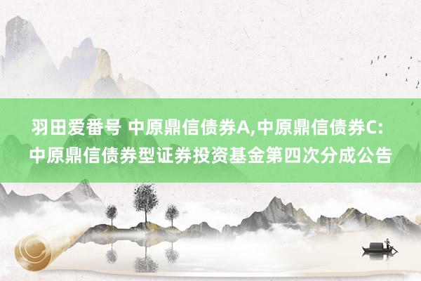 羽田爱番号 中原鼎信债券A,中原鼎信债券C: 中原鼎信债券型证券投资基金第四次分成公告