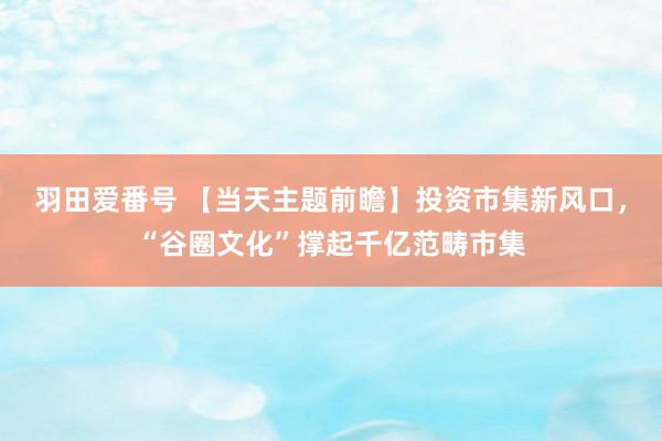 羽田爱番号 【当天主题前瞻】投资市集新风口，“谷圈文化”撑起千亿范畴市集