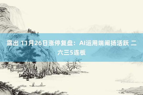 露出 11月26日涨停复盘：AI运用端阐扬活跃 二六三5连板