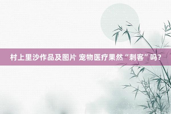 村上里沙作品及图片 宠物医疗果然“刺客”吗？