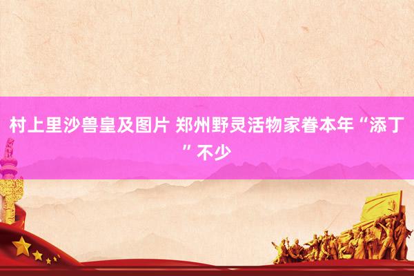 村上里沙兽皇及图片 郑州野灵活物家眷本年“添丁”不少