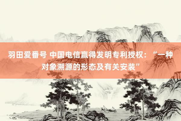 羽田爱番号 中国电信赢得发明专利授权：“一种对象溯源的形态及有关安装”