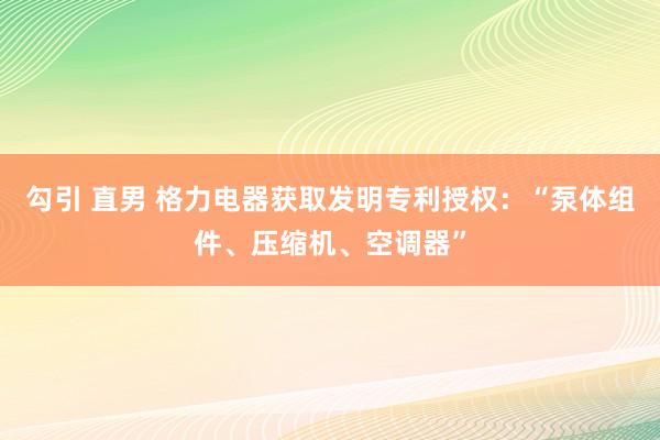 勾引 直男 格力电器获取发明专利授权：“泵体组件、压缩机、空调器”