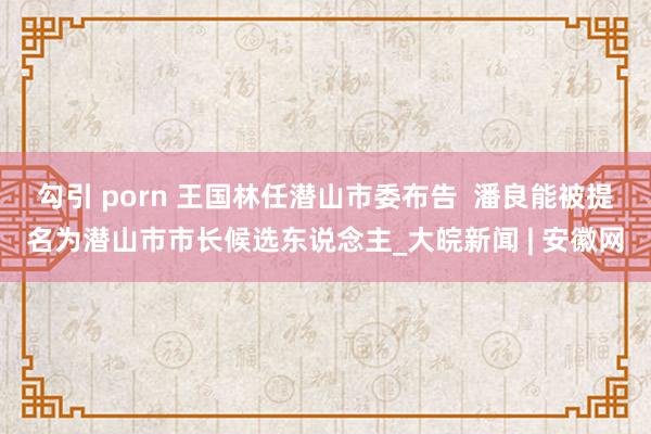 勾引 porn 王国林任潜山市委布告  潘良能被提名为潜山市市长候选东说念主_大皖新闻 | 安徽网