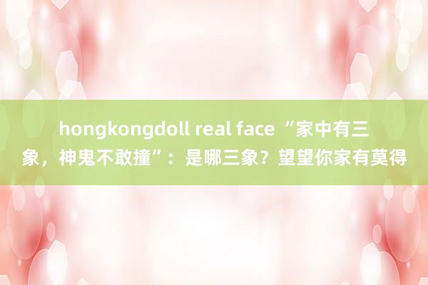hongkongdoll real face “家中有三象，神鬼不敢撞”：是哪三象？望望你家有莫得