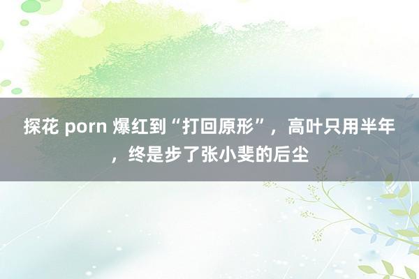 探花 porn 爆红到“打回原形”，高叶只用半年，终是步了张小斐的后尘