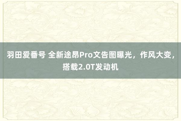 羽田爱番号 全新途昂Pro文告图曝光，作风大变，搭载2.0T发动机