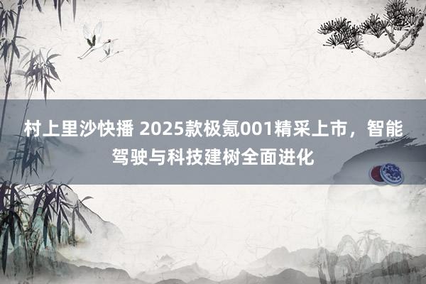 村上里沙快播 2025款极氪001精采上市，智能驾驶与科技建树全面进化