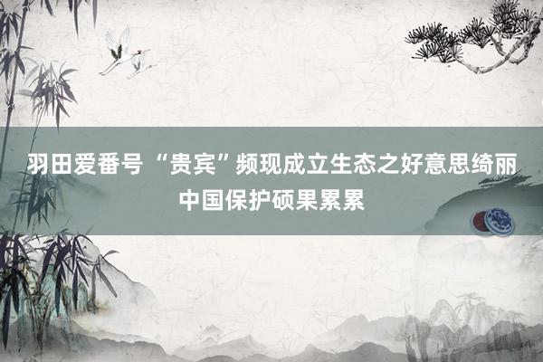 羽田爱番号 “贵宾”频现成立生态之好意思绮丽中国保护硕果累累