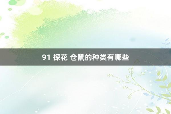 91 探花 仓鼠的种类有哪些