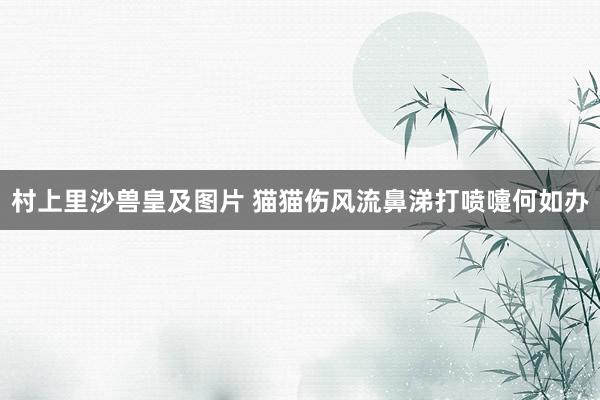 村上里沙兽皇及图片 猫猫伤风流鼻涕打喷嚏何如办