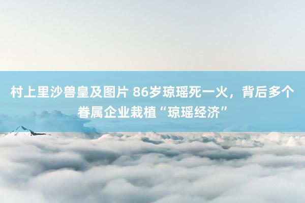村上里沙兽皇及图片 86岁琼瑶死一火，背后多个眷属企业栽植“琼瑶经济”