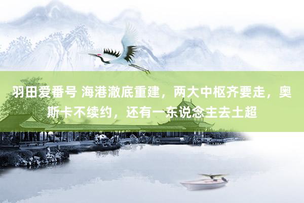 羽田爱番号 海港澈底重建，两大中枢齐要走，奥斯卡不续约，还有一东说念主去土超