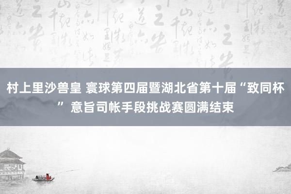 村上里沙兽皇 寰球第四届暨湖北省第十届“致同杯” 意旨司帐手段挑战赛圆满结束