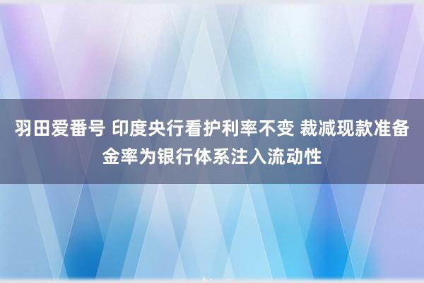 羽田爱番号 印度央行看护利率不变 裁减现款准备金率为银行体系注入流动性