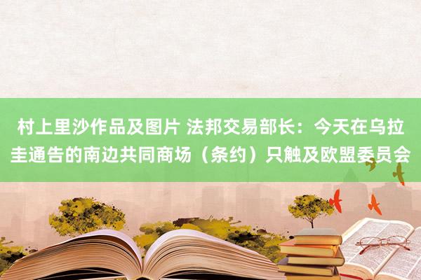 村上里沙作品及图片 法邦交易部长：今天在乌拉圭通告的南边共同商场（条约）只触及欧盟委员会