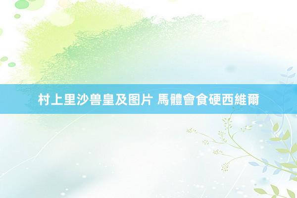 村上里沙兽皇及图片 馬體會食硬西維爾