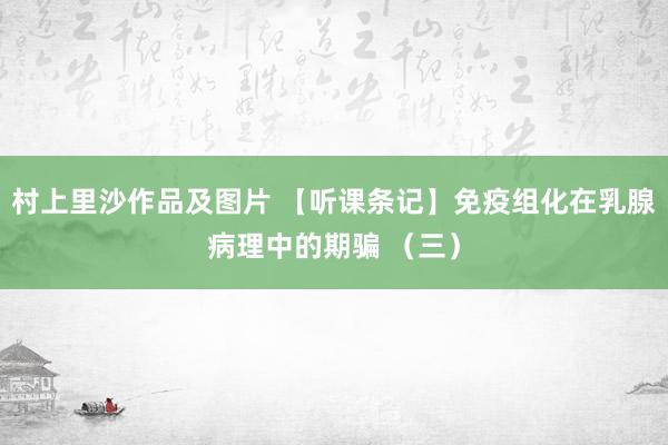 村上里沙作品及图片 【听课条记】免疫组化在乳腺病理中的期骗 （三）