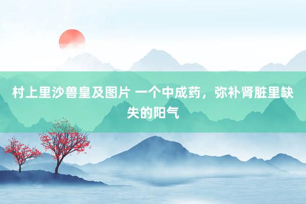 村上里沙兽皇及图片 一个中成药，弥补肾脏里缺失的阳气