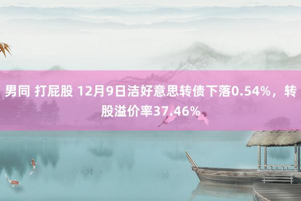 男同 打屁股 12月9日洁好意思转债下落0.54%，转股溢价率37.46%