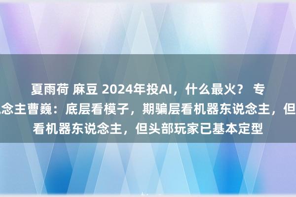 夏雨荷 麻豆 2024年投AI，什么最火？ 专访蓝驰创投结伴东说念主曹巍：底层看模子，期骗层看机器东说念主，但头部玩家已基本定型
