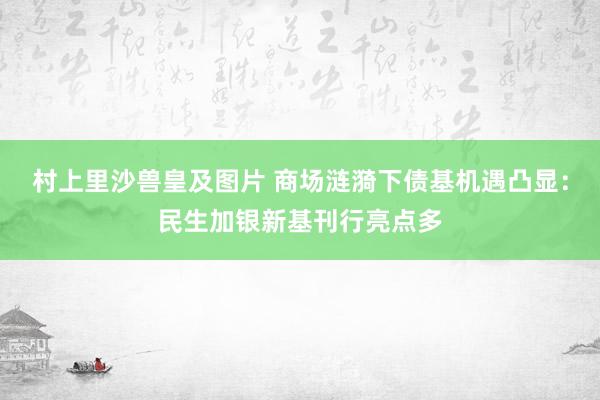 村上里沙兽皇及图片 商场涟漪下债基机遇凸显：民生加银新基刊行亮点多