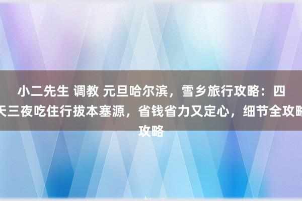 小二先生 调教 元旦哈尔滨，雪乡旅行攻略：四天三夜吃住行拔本塞源，省钱省力又定心，细节全攻略