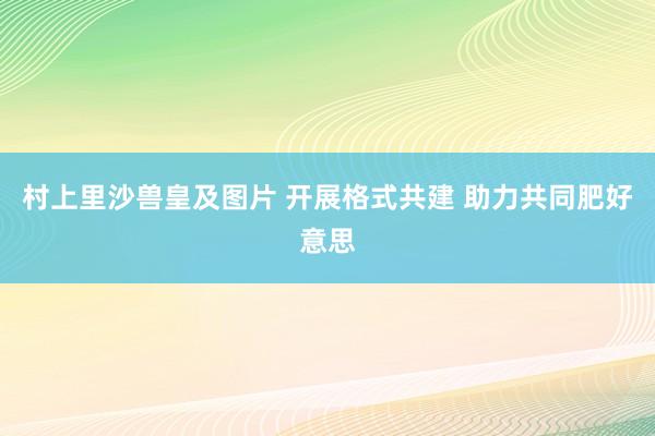 村上里沙兽皇及图片 开展格式共建 助力共同肥好意思