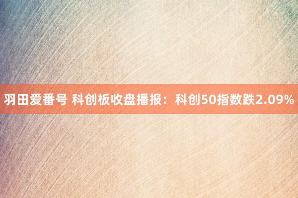 羽田爱番号 科创板收盘播报：科创50指数跌2.09%