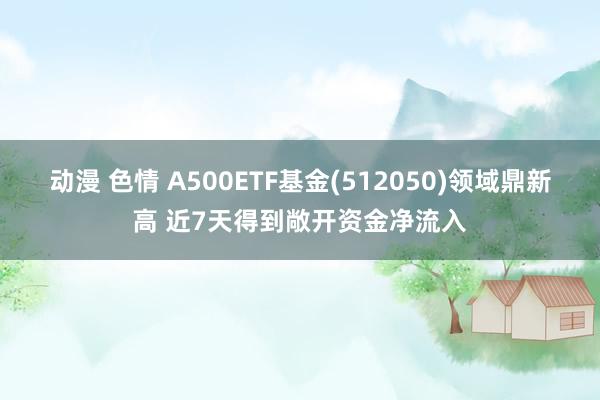 动漫 色情 A500ETF基金(512050)领域鼎新高 近7天得到敞开资金净流入