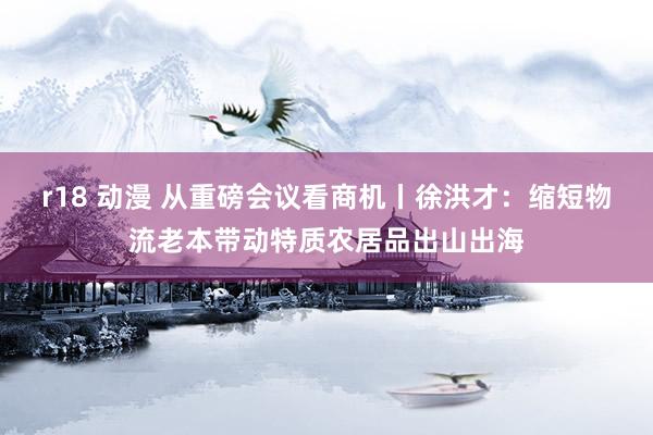 r18 动漫 从重磅会议看商机丨徐洪才：缩短物流老本带动特质农居品出山出海