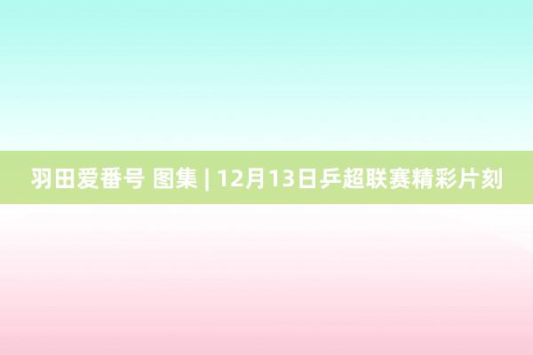 羽田爱番号 图集 | 12月13日乒超联赛精彩片刻