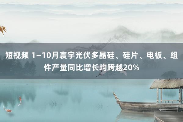 短视频 1—10月寰宇光伏多晶硅、硅片、电板、组件产量同比增长均跨越20%