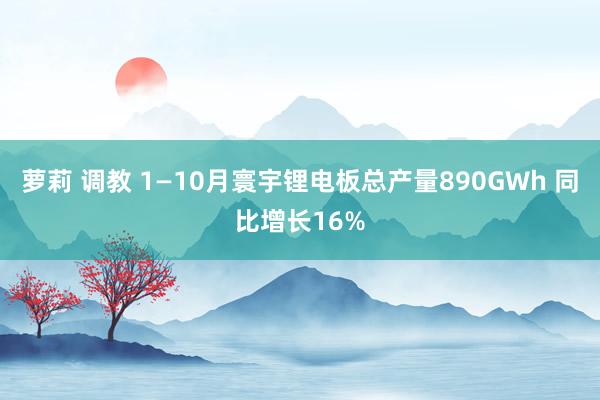 萝莉 调教 1—10月寰宇锂电板总产量890GWh 同比增长16%