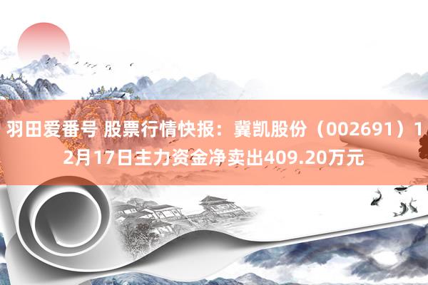 羽田爱番号 股票行情快报：冀凯股份（002691）12月17日主力资金净卖出409.20万元