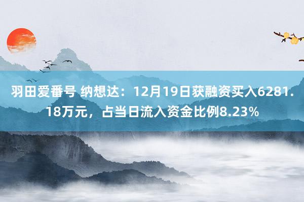 羽田爱番号 纳想达：12月19日获融资买入6281.18万元，占当日流入资金比例8.23%