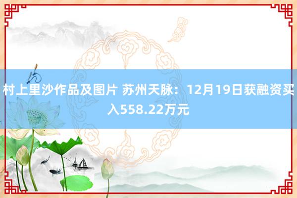 村上里沙作品及图片 苏州天脉：12月19日获融资买入558.22万元