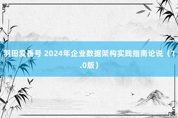 羽田爱番号 2024年企业数据架构实践指南论说（1.0版）
