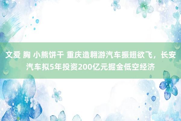 文爱 胸 小熊饼干 重庆造翱游汽车振翅欲飞，长安汽车拟5年投资200亿元掘金低空经济