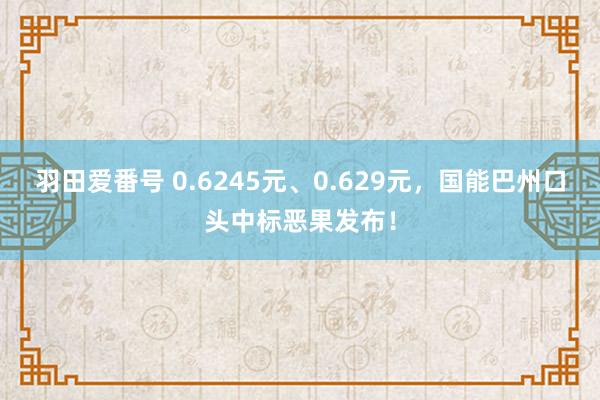 羽田爱番号 0.6245元、0.629元，国能巴州口头中标恶果发布！