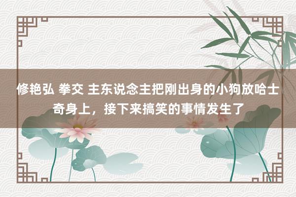 修艳弘 拳交 主东说念主把刚出身的小狗放哈士奇身上，接下来搞笑的事情发生了